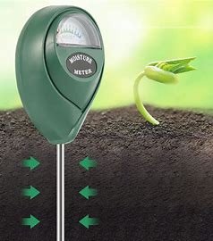 Plant Water Measurement