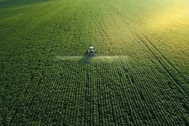 Agriculture